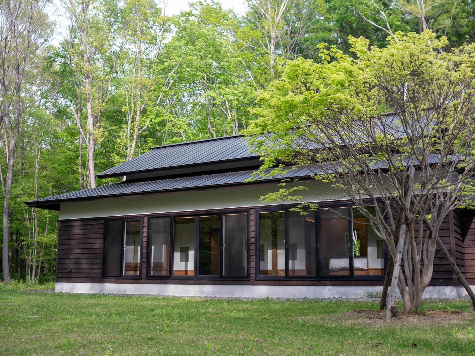 森の中に建つ、みつの建物